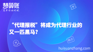 “代理報(bào)稅”將成為代理行業(yè)的又一匹黑馬?